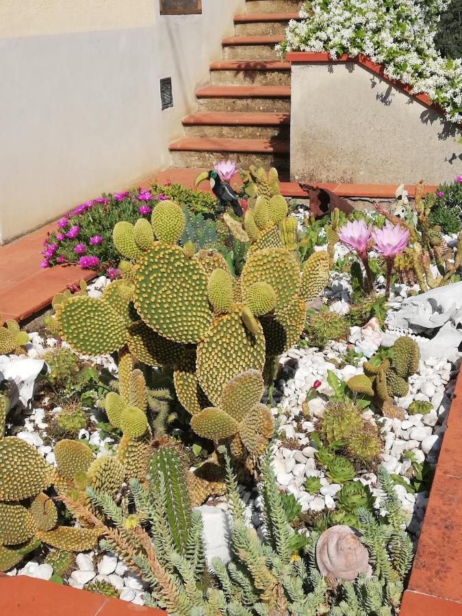 I Rosai Appartamento Sulle Colline Fiorentine Bagno a Ripoli Exterior foto